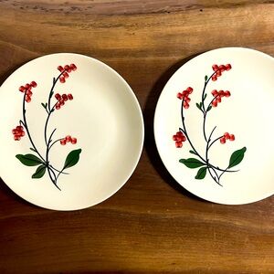2 Vintage Hand Painted Blue Ridge Dinner Plates 9 1/2" Bittersweet Pattern